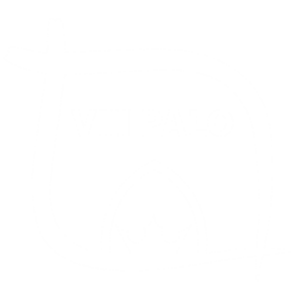 VIII PALO – logo szkoły